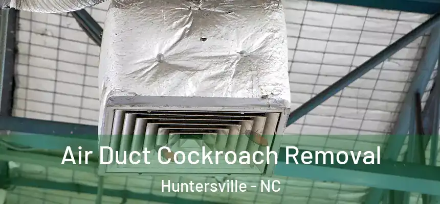  Air Duct Cockroach Removal Huntersville - NC