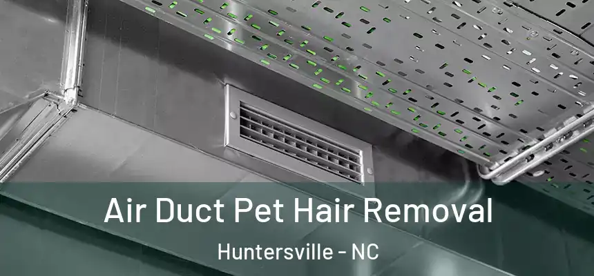  Air Duct Pet Hair Removal Huntersville - NC