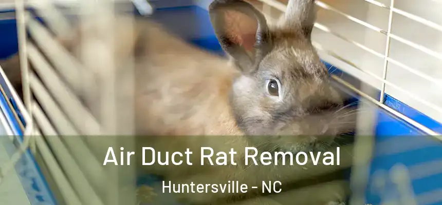  Air Duct Rat Removal Huntersville - NC