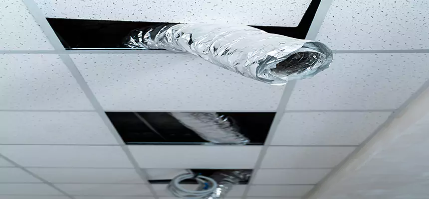 Affordable HVAC Sanitizing After Pest Removal in Huntersville