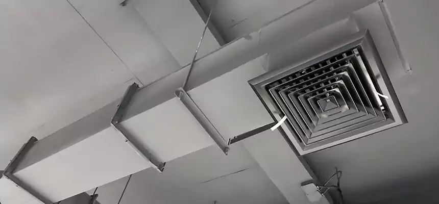 Our Rodent Droppings In Vents Services in Huntersville, NC