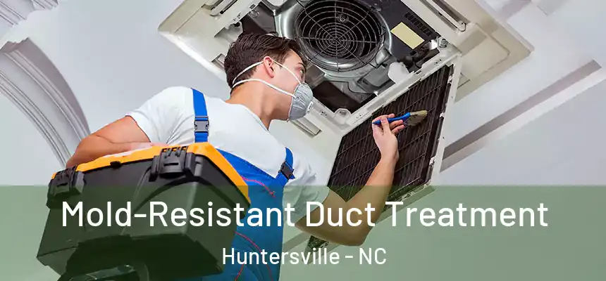  Mold-Resistant Duct Treatment Huntersville - NC