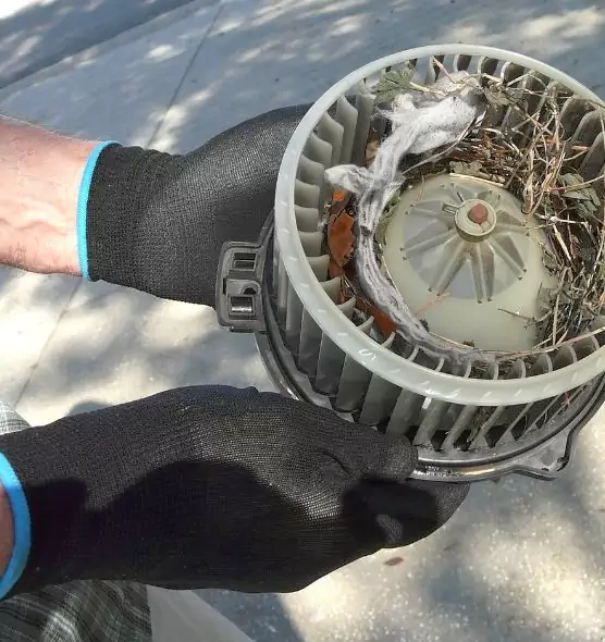 About Air Duct Mice Removal in Huntersville, NC